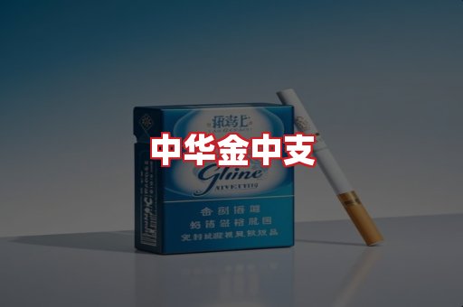 中华金中支